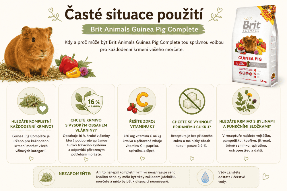 Časté situace použití krmiva pro morčata